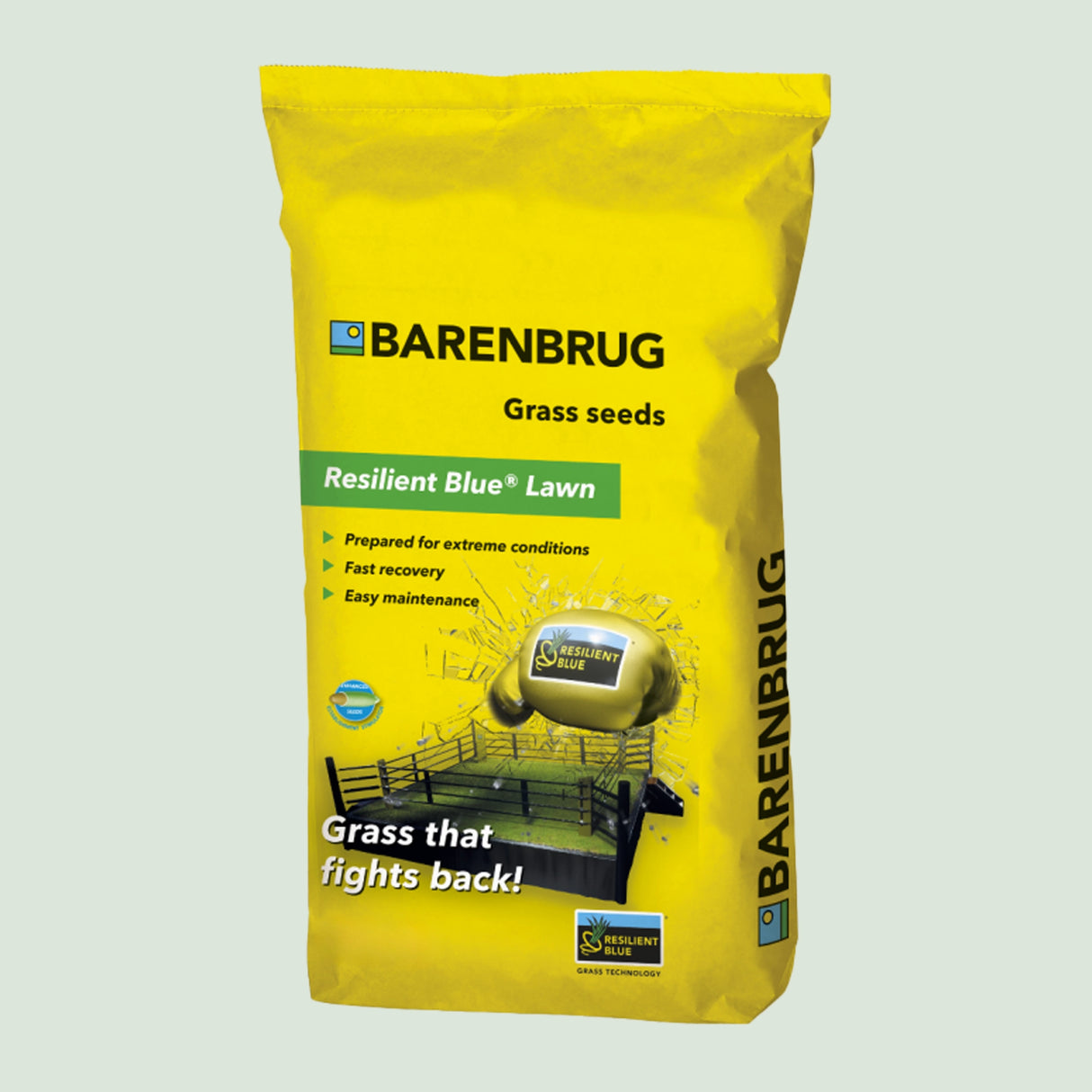 Barenbrug resilient blue