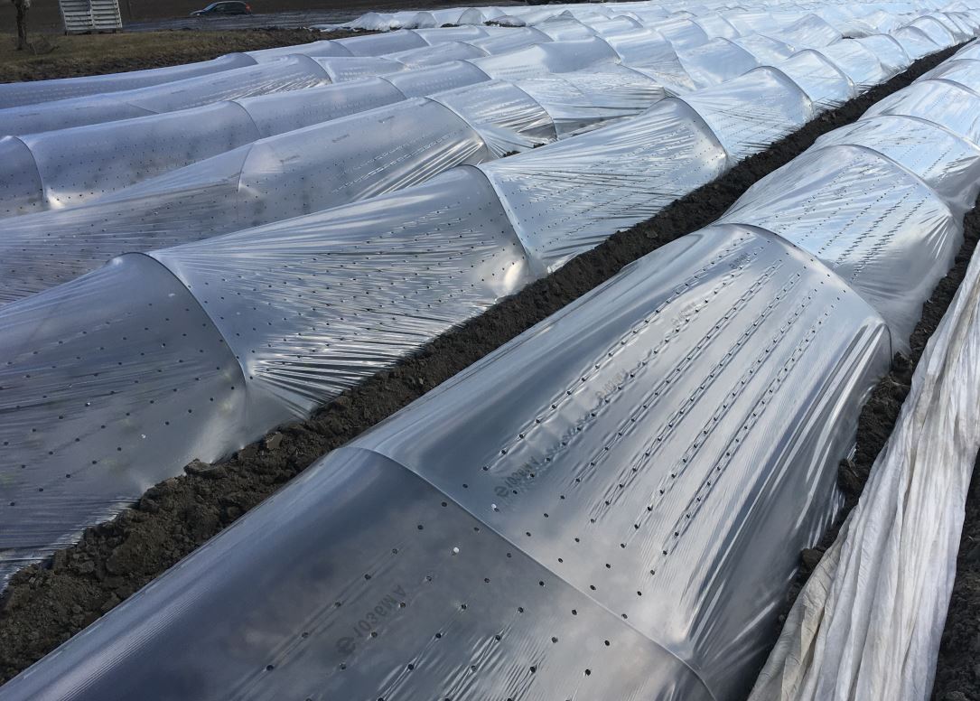 Solfangerfolie 1,5x10m