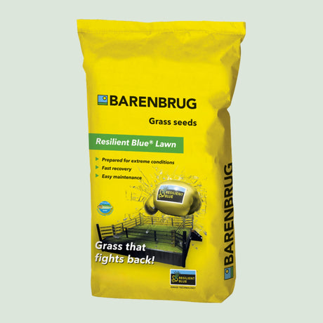 Barenbrug resilient blue